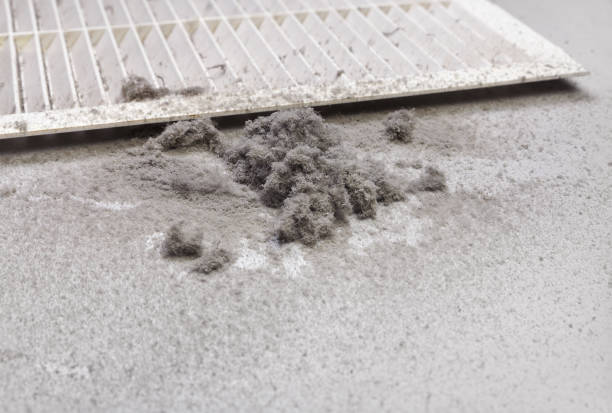 Best Air Duct Cleaning Near Me  in Hamton, IL