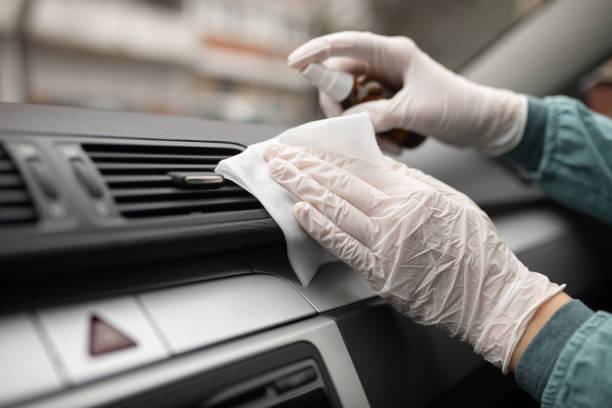 Best Air Duct Mold Removal  in Hamton, IL