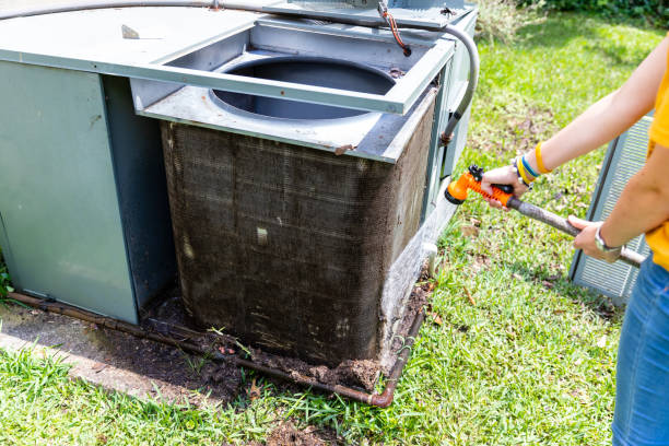 Best Residential Air Duct Cleaning  in Hamton, IL