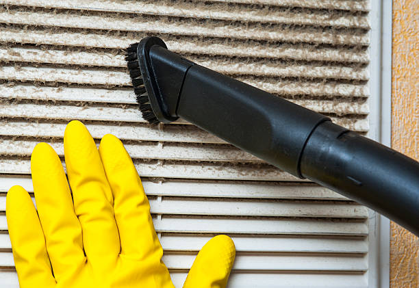 Best Emergency Air Duct Cleaning  in Hamton, IL